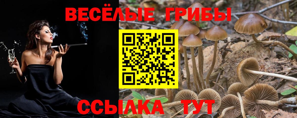 Галлюциногенные грибы MAGIC MUSHROOMS Сосновый Бор