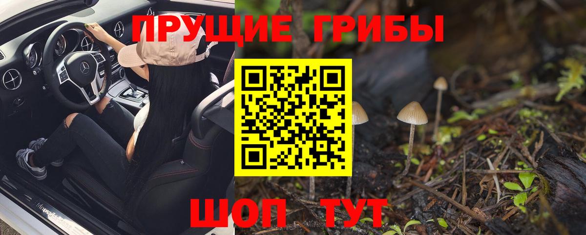 Псилоцибиновые грибы Psilocybe  Вход с VPN  Галлюциногенные грибы ЛСД  Сосновый Бор 